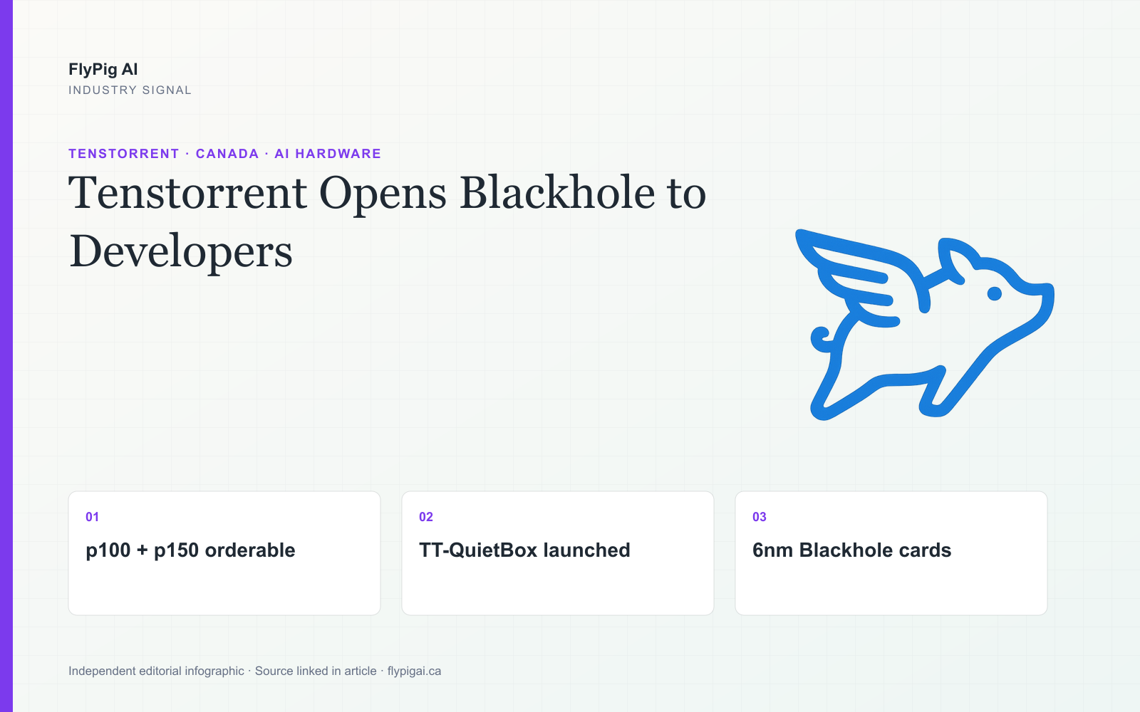 FlyPig AI infographic showing Tenstorrent's Blackhole developer launch with p100 and p150 cards, TT-QuietBox and order availability.
